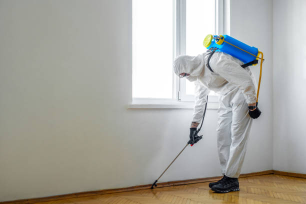 Best Best Pest Control Companies  in Meridian, PA