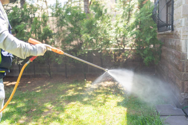 Best Local Pest Control Services  in Meridian, PA